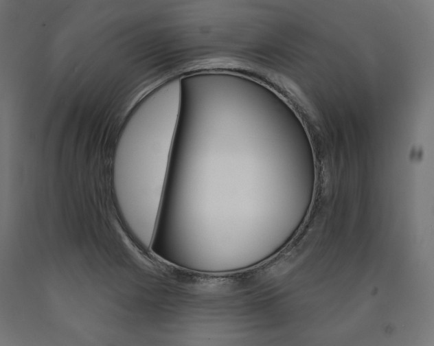 X0000090981225200708021134