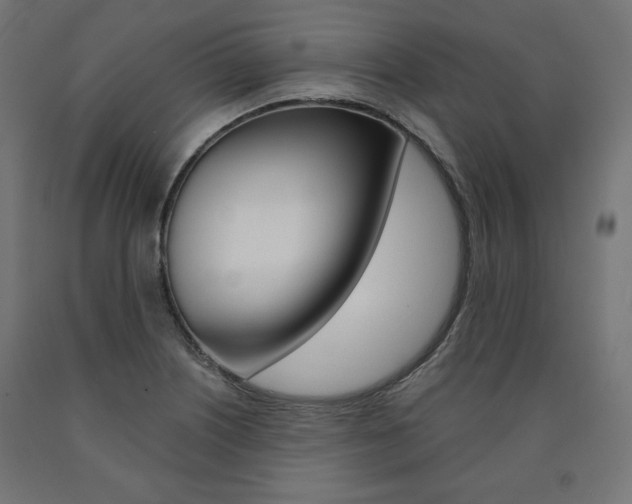 X0000090981226200708021134