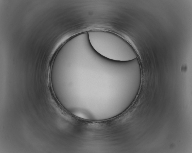 X0000090981227200708021134