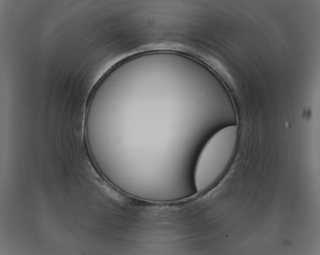 X0000090981228200708021134