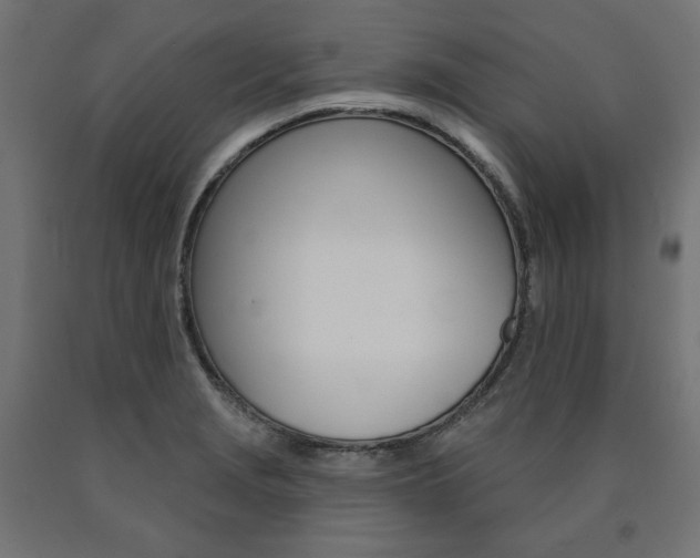 X0000090981229200708021134