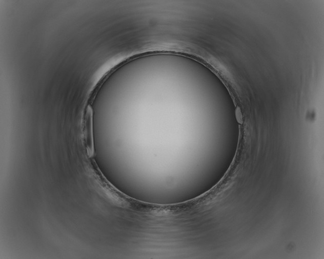 X0000090981230200708021134