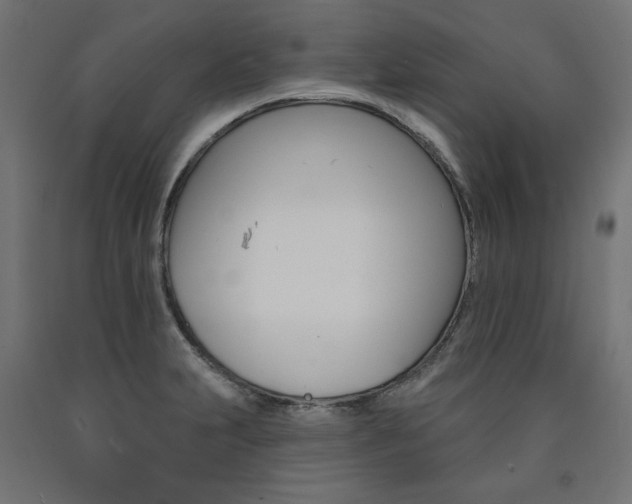 X0000090981231200708021134