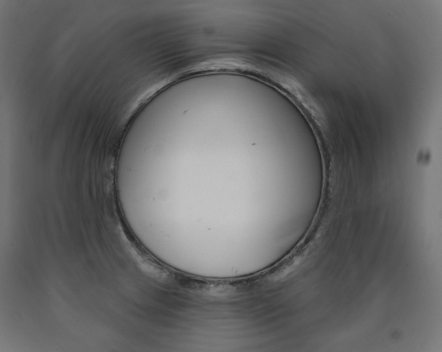 X0000090981233200708021134