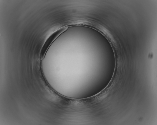 X0000090981234200708021134