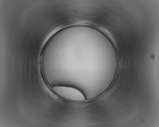 X0000090981235200708021134