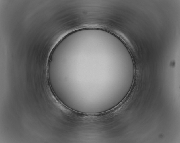 X0000090981236200708021134