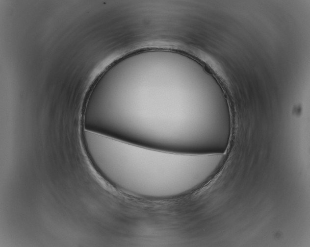 X0000090981237200708021134