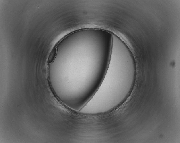 X0000090981238200708021135