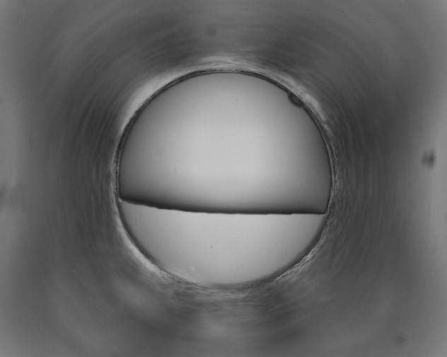 X0000090981239200708021135