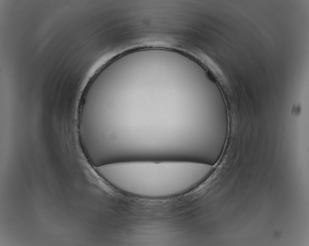 X0000090981240200708021135