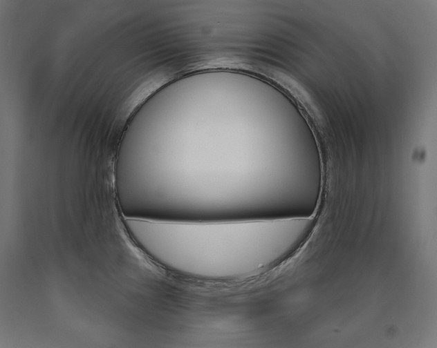 X0000090981241200708021135