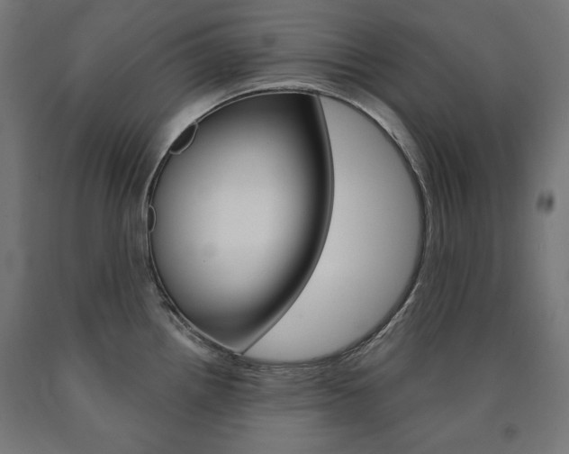 X0000090981242200708021135