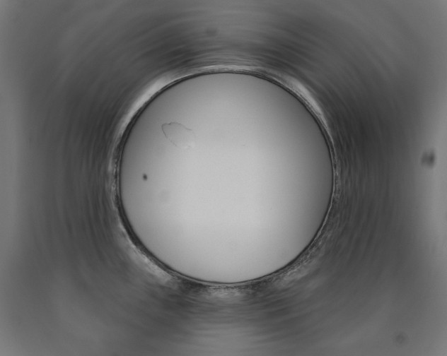 X0000090981243200708021135