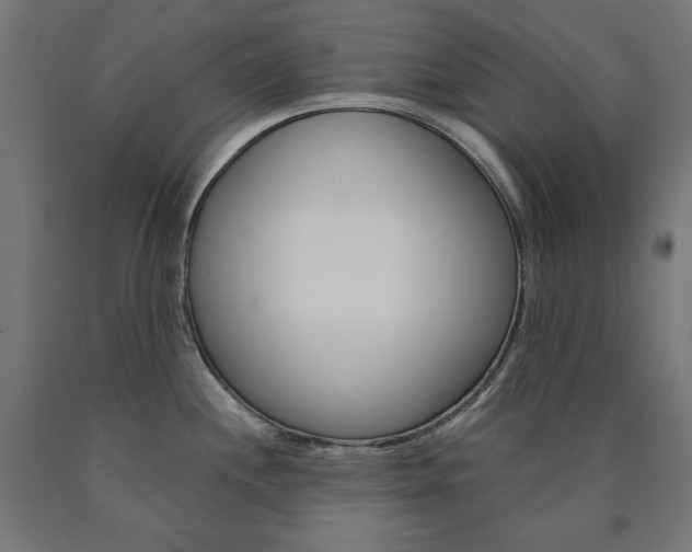 X0000090981244200708021135