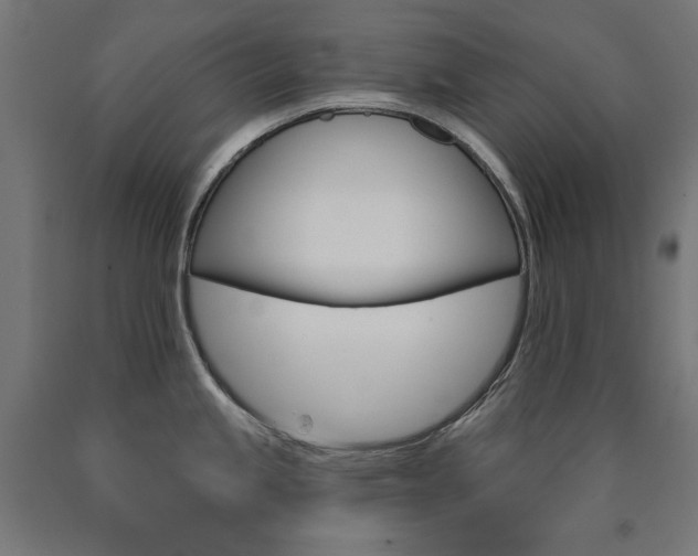 X0000090981245200708021135