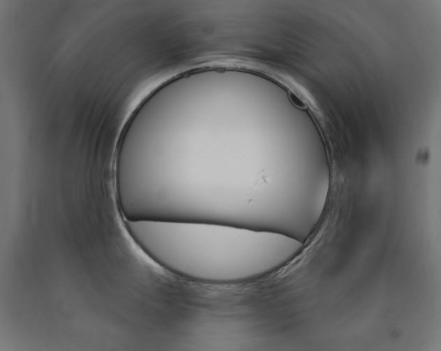 X0000090981247200708021135