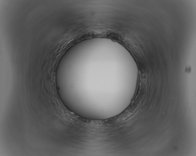 X0000090981249200708021134