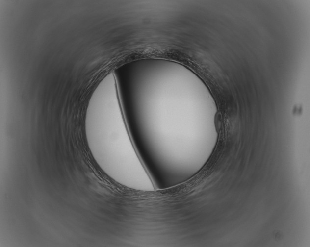 X0000090981250200708021134