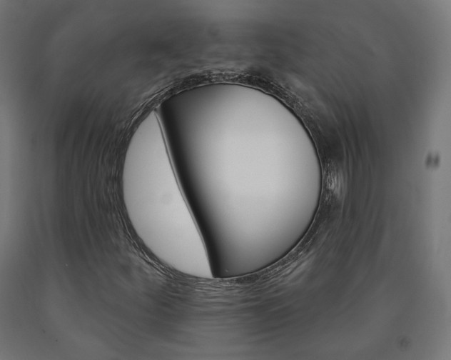 X0000090981252200708021134