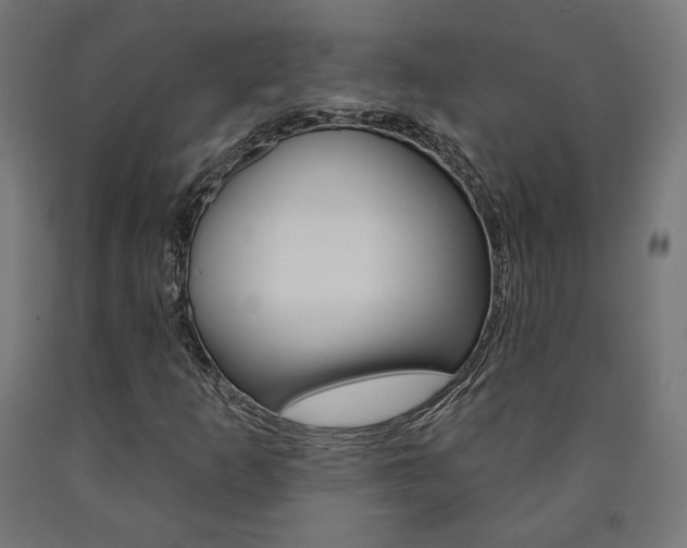 X0000090981253200708021134