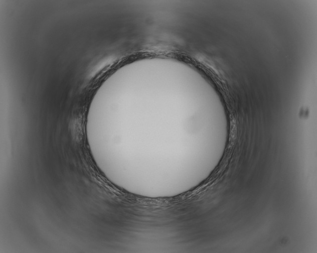 X0000090981254200708021134