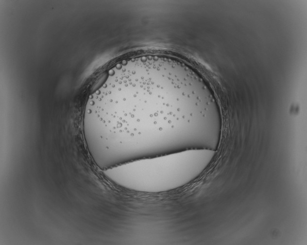 X0000090981255200708021134