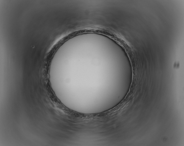 X0000090981256200708021134