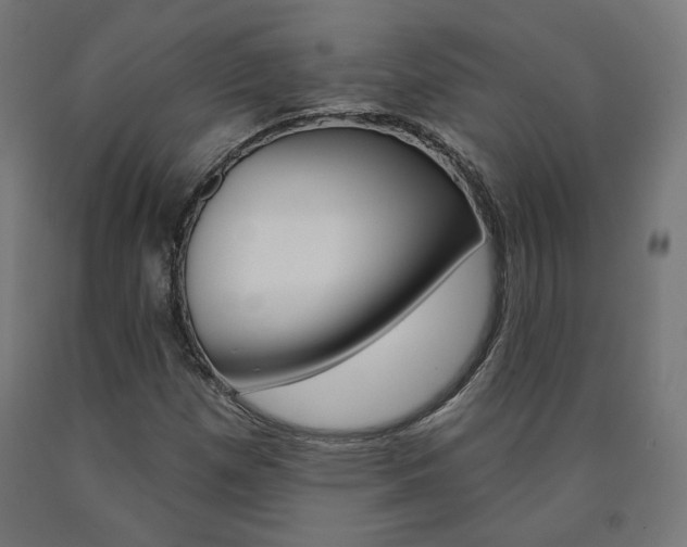 X0000090981257200708021134