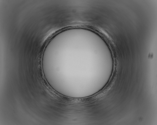 X0000090981259200708021134
