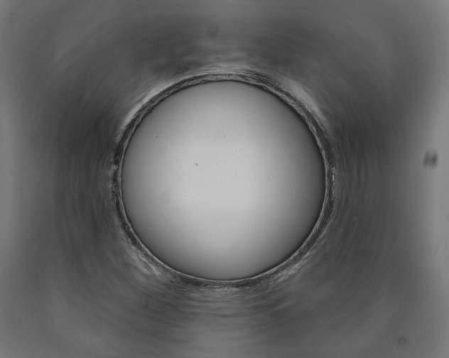 X0000090981260200708021134
