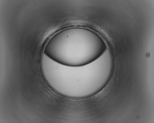 X0000090981261200708021134