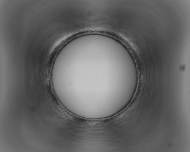 X0000090981262200708021134