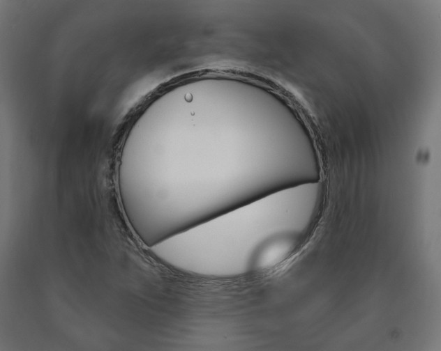 X0000090981263200708021134