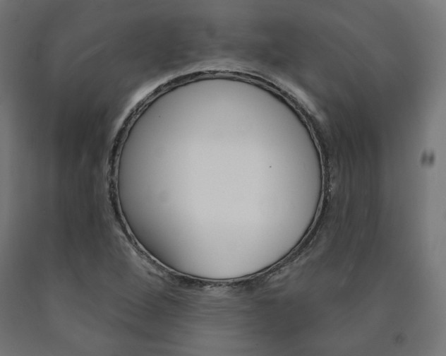 X0000090981264200708021134