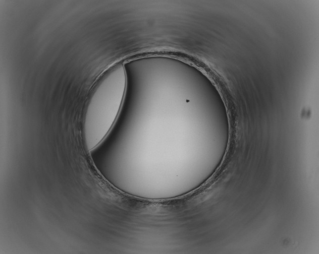X0000090981265200708021134