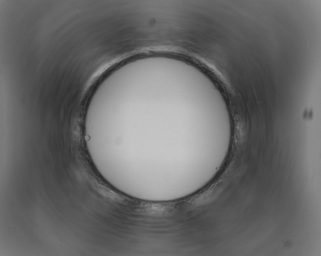 X0000090981266200708021134