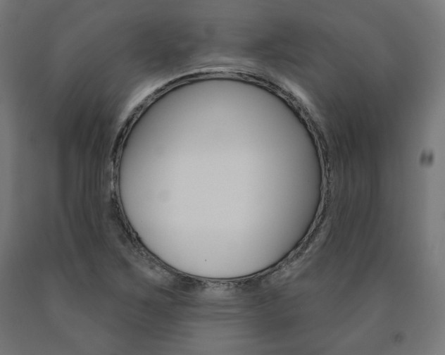 X0000090981267200708021134