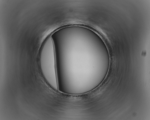 X0000090981269200708021134