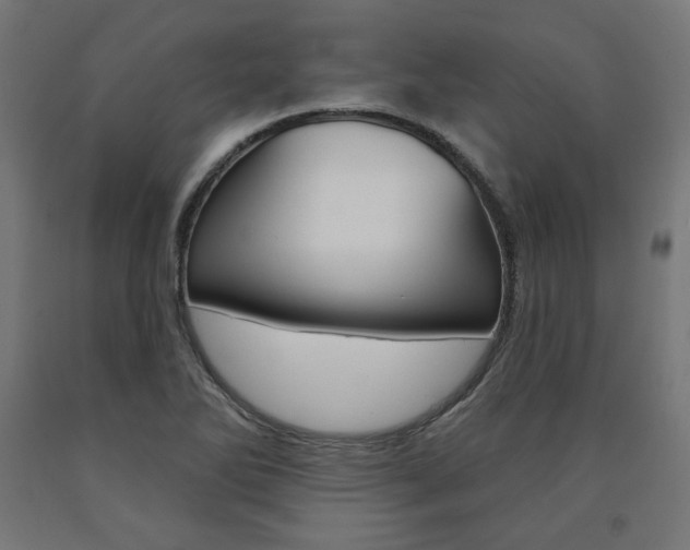 X0000090981270200708021134