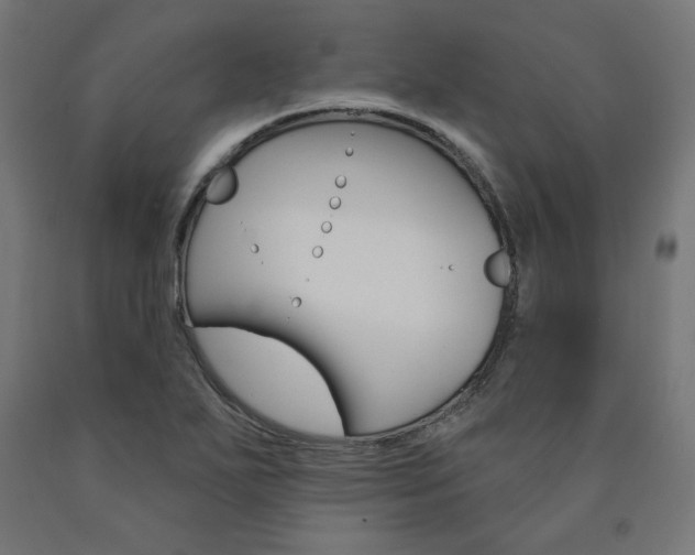 X0000090981271200708021134
