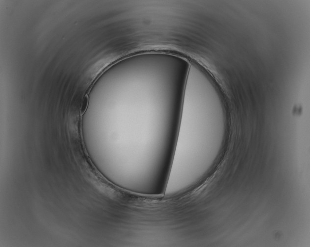 X0000090981273200708021134
