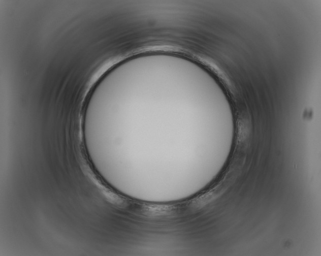 X0000090981274200708021134