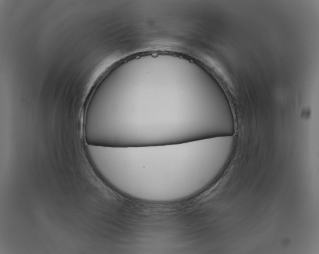 X0000090981275200708021134