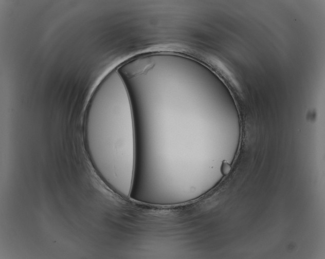 X0000090981276200708021134