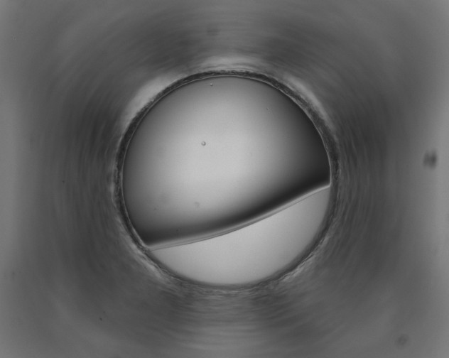 X0000090981277200708021134