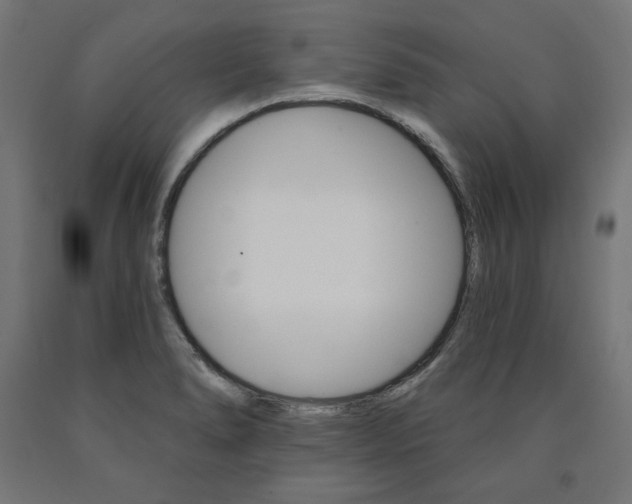 X0000090981278200708021134
