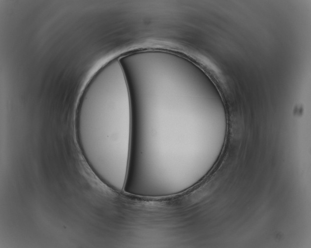 X0000090981280200708021134