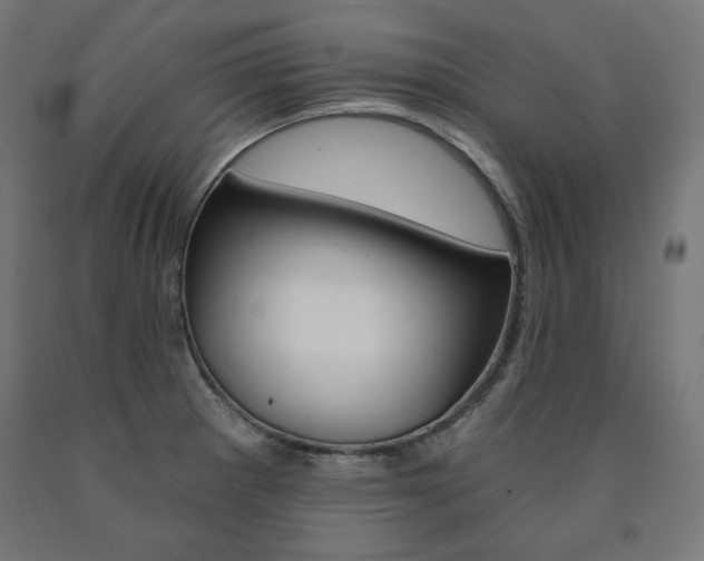 X0000090981281200708021134