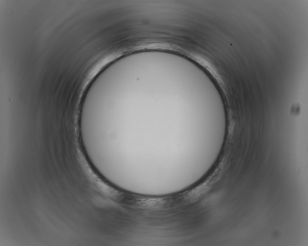 X0000090981282200708021134